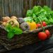 Panier en osier rempli de légumes