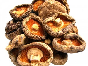 Le Reishi (ganoderma lucidum)