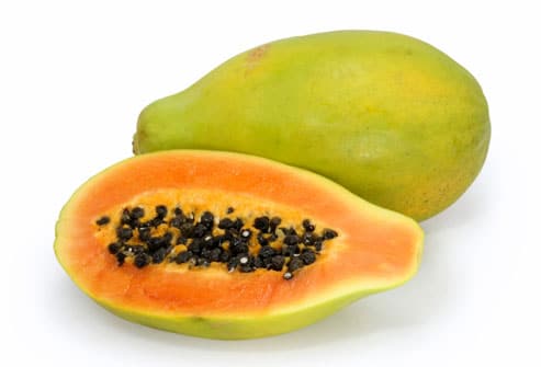 La papaye (Carica papaya)