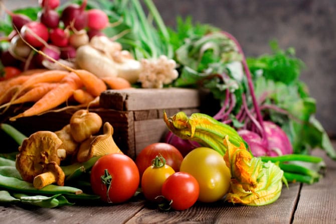 Les protéines végétales nutritives et économiques