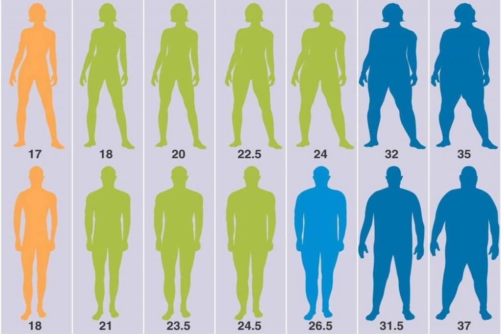 Indice de Masse Corporelle