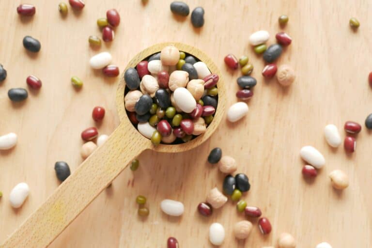 Protéines végétales innovantes : l’avenir de l’alimentation durable