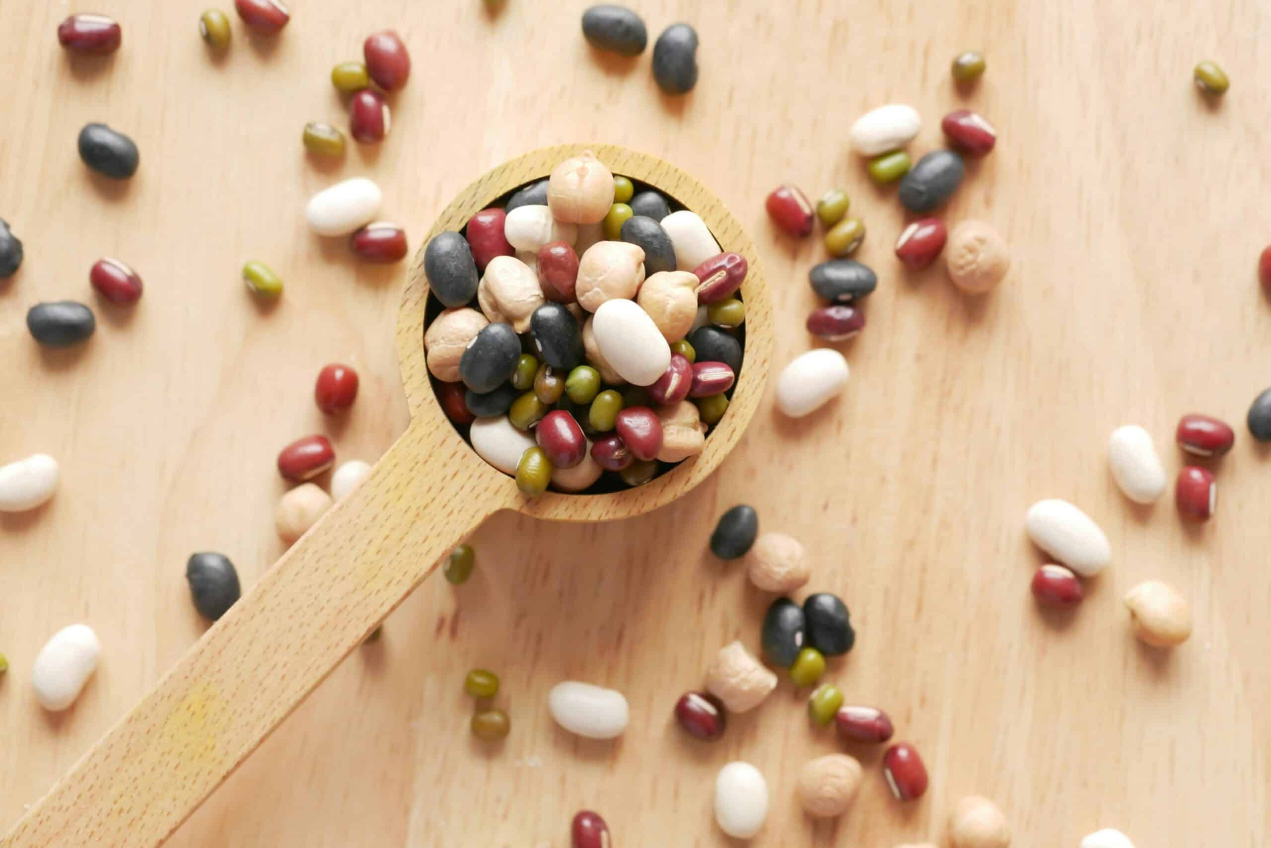 Protéines végétales innovantes : l’avenir de l’alimentation durable